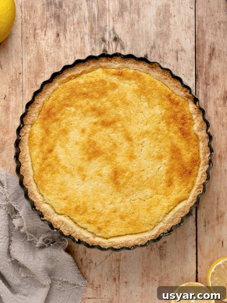 Classic Italian Ricotta Pie Recipe 9 Baked ricotta pie in a dark round pie pan. Wooden surface.