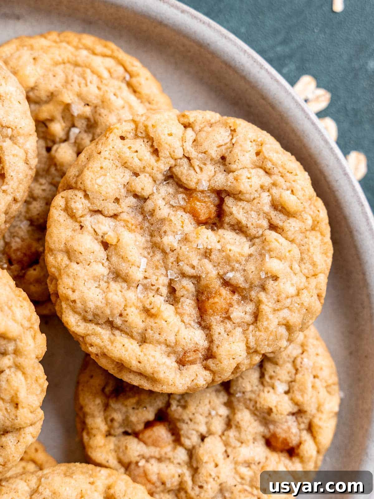 How to Make Chewy Salted Caramel Oatmeal Cookies 2 Salted caramel oatmeal cookies with sea salt.