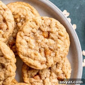 How to Make Chewy Salted Caramel Oatmeal Cookies 16 A plate of salted caramel oatmeal cookies.