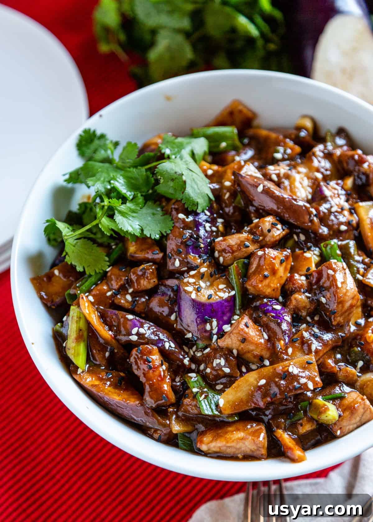 overhead: ready to eat eggplant stir fry in white bowl with piece of cilantro on top