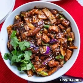 overhead photo of Szechuan Eggplant and Pork Stir Fry in bowl on red placemat