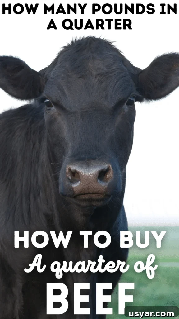 How to Buy a Quarter Beef Share: What to Expect 2 img 2905 1