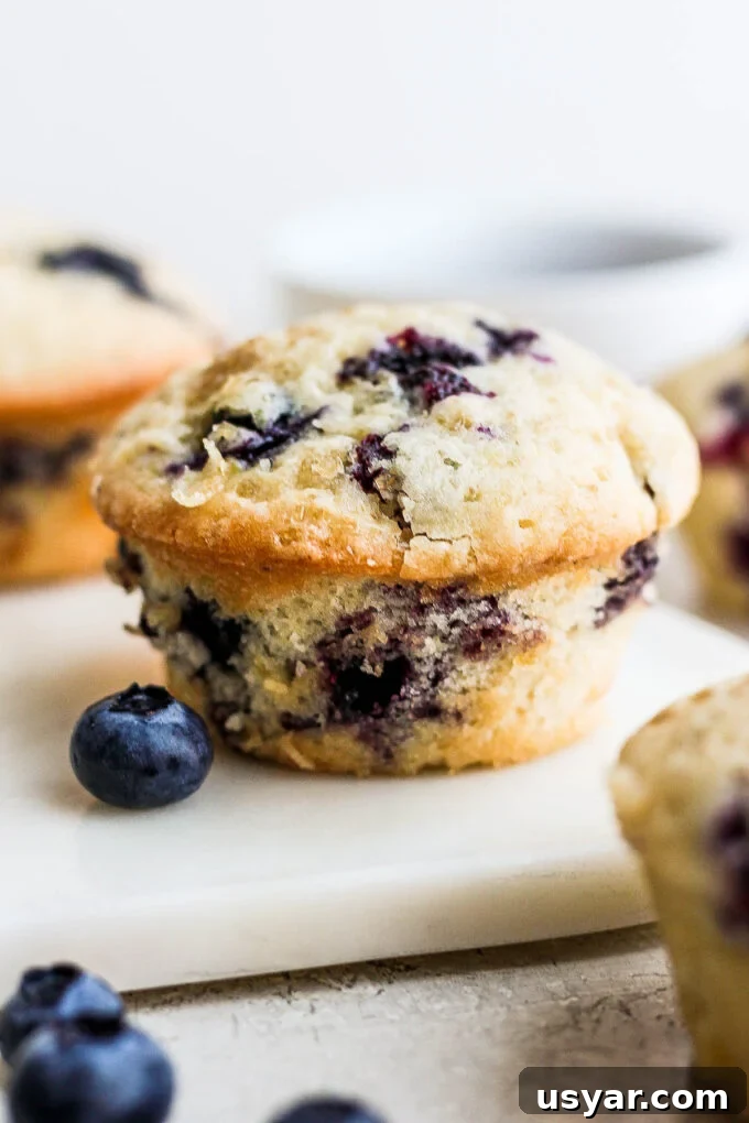 Fluffy Vegan Blueberry Muffins Recipe 2 Vegan Blueberry Muffins on a white tray.