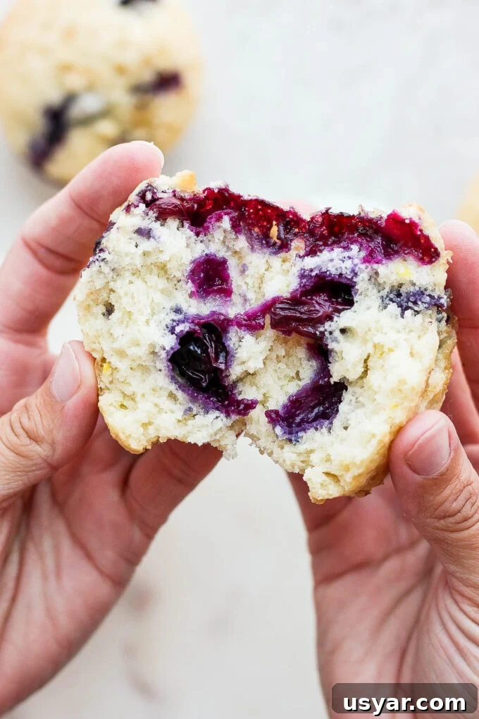 Fluffy Vegan Blueberry Muffins Recipe 3 Hand holding half of a blueberry muffin.
