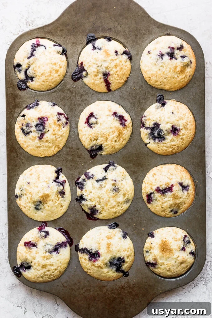 Fluffy Vegan Blueberry Muffins Recipe 7 Baked blueberry muffins in a muffin tin.