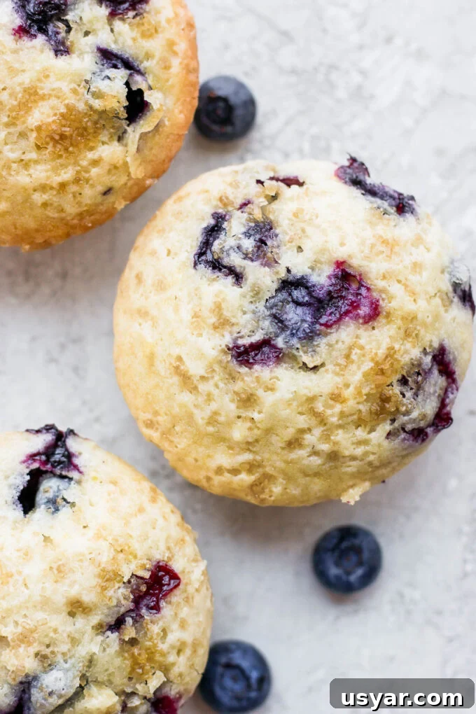 Fluffy Vegan Blueberry Muffins Recipe 8 Top of a blueberry muffin.