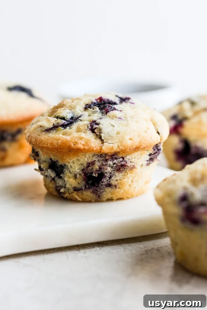 Fluffy Vegan Blueberry Muffins Recipe 9 Muffins made with blueberries.
