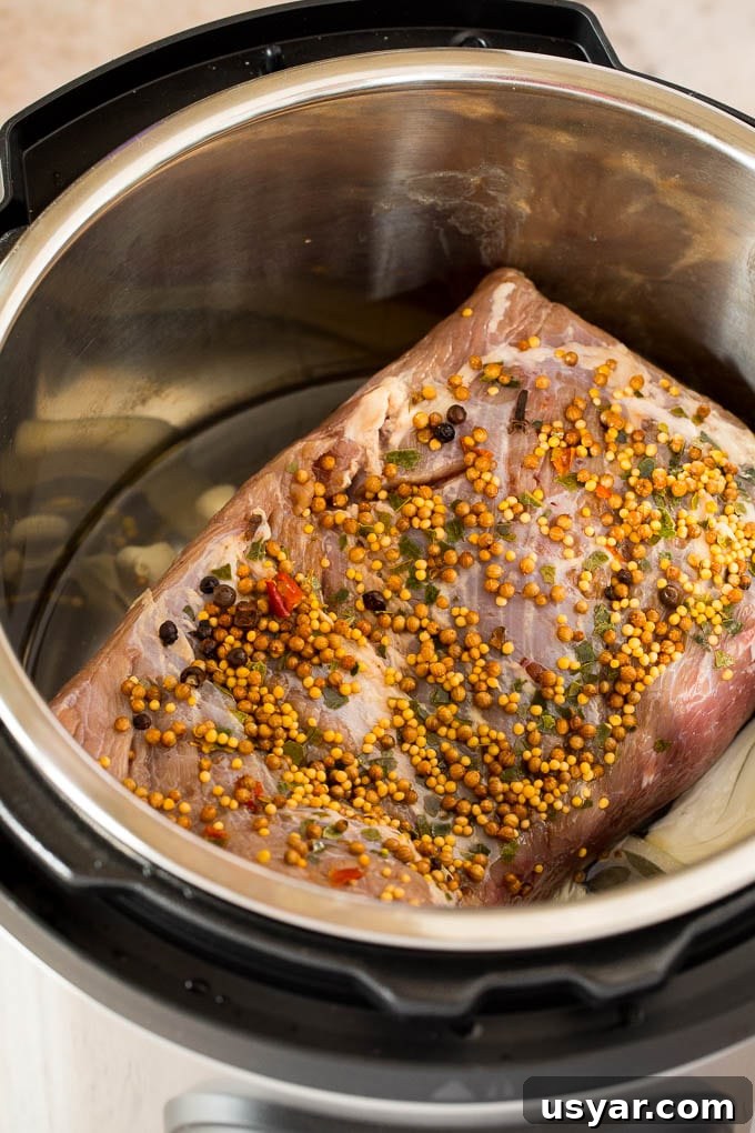 A raw corned beef in a pressure cooker.