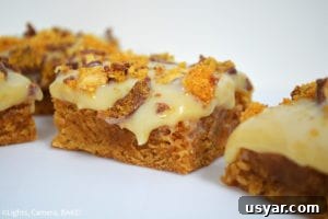 Homemade Gooey Butterscotch Cookie Bars Recipe 2 Gooey Butterscotch Cookie Bars. Chewy, gooey, butterscotch cookie bars topped with buttery caramel and finished off with white chocolate and Crunchie Bars.