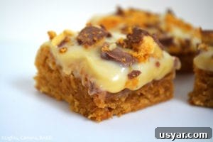 Homemade Gooey Butterscotch Cookie Bars Recipe 3 Gooey Butterscotch Cookie Bars. Chewy, gooey, butterscotch cookie bars topped with buttery caramel and finished off with white chocolate and Crunchie Bars.