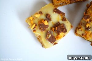 Homemade Gooey Butterscotch Cookie Bars Recipe 4 Gooey Butterscotch Cookie Bars. Chewy, gooey, butterscotch cookie bars topped with buttery caramel and finished off with white chocolate and Crunchie Bars.