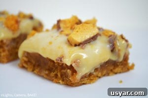 Homemade Gooey Butterscotch Cookie Bars Recipe 6 Gooey Butterscotch Cookie Bars. Chewy, gooey, butterscotch cookie bars topped with buttery caramel and finished off with white chocolate and Crunchie Bars.
