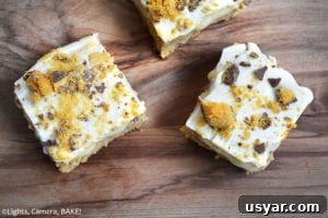 Homemade Gooey Butterscotch Cookie Bars Recipe 7 Gooey Butterscotch Cookie Bars. Chewy, gooey, butterscotch cookie bars topped with buttery caramel and finished off with white chocolate and Crunchie Bars.