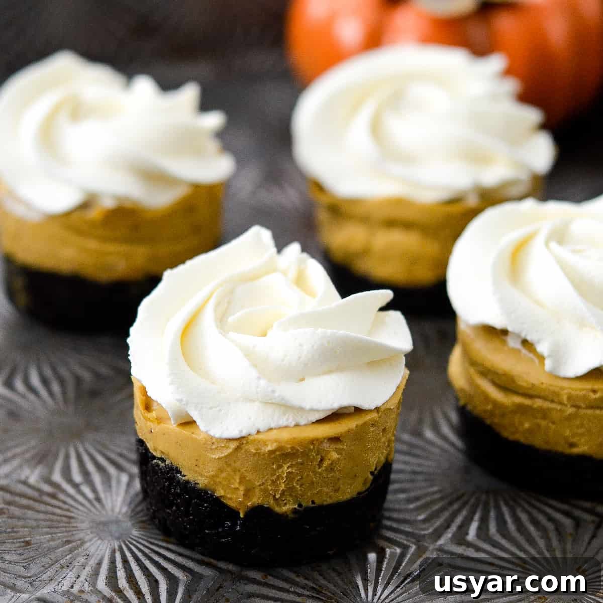 No-Bake Mini Vegan Pumpkin Pies are the perfect elegant fall dessert! They are gluten-free, dairy-free, refined sugar free, paleo, vegan and SUPER easy to make! #vegan #pumpkinpie #nobake #dessert #paleo #glutenfree #dairyfree Front view of a No-Bake Vegan Pumpkin Pies with four others int he background.