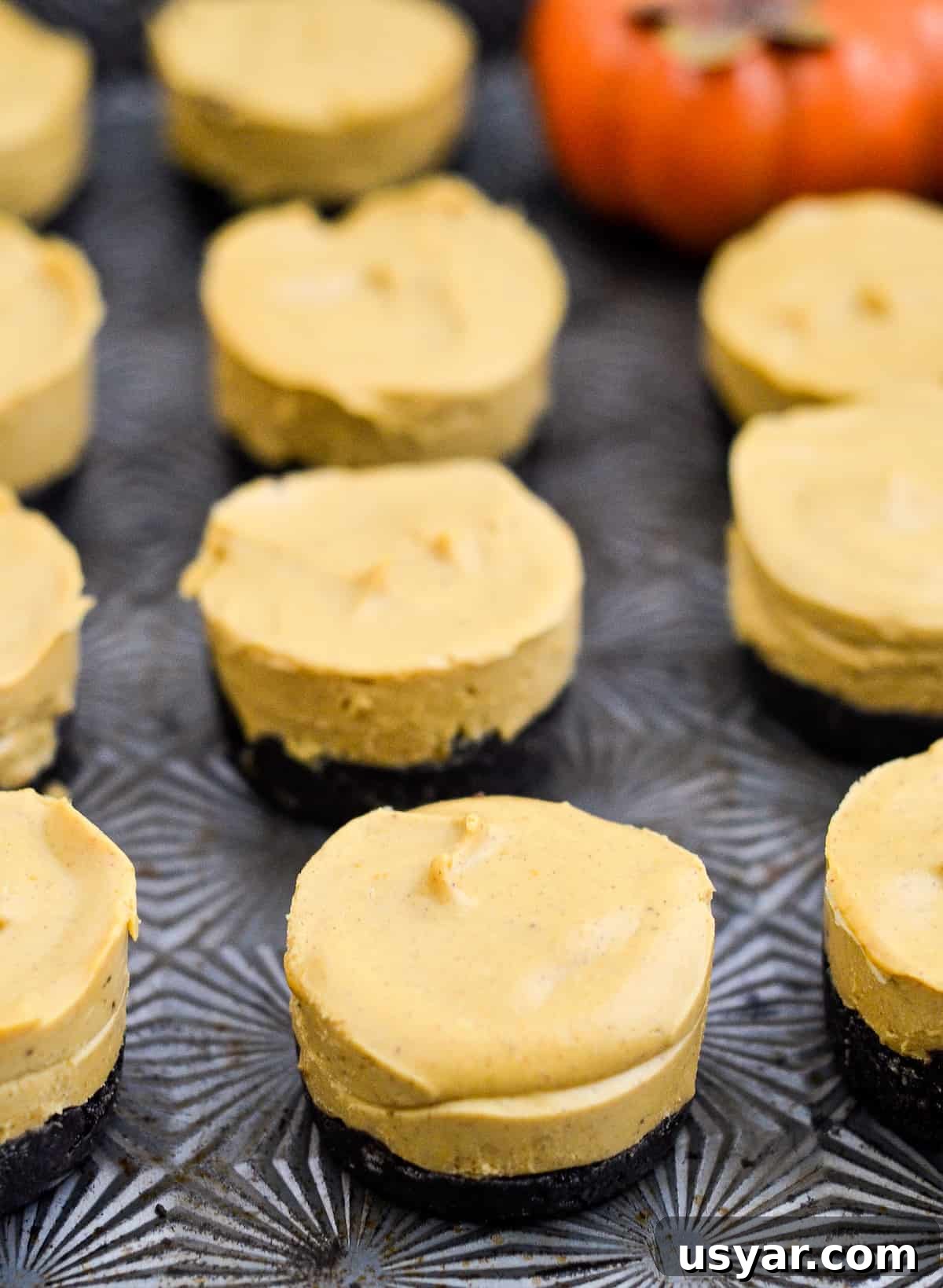 No-Bake Mini Vegan Pumpkin Pies are the perfect elegant fall dessert! They are gluten-free, dairy-free, refined sugar free, paleo, vegan and SUPER easy to make! #vegan #pumpkinpie #nobake #dessert #paleo #glutenfree #dairyfree Side view of 11 pumpkin bites with orange pumpkin the the background.