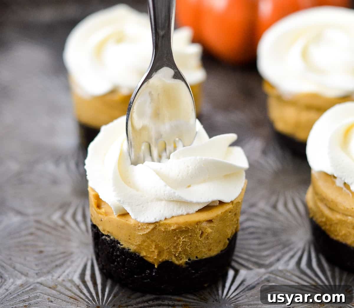 No-Bake Mini Vegan Pumpkin Pies are the perfect elegant fall dessert! They are gluten-free, dairy-free, refined sugar free, paleo, vegan and SUPER easy to make! #vegan #pumpkinpie #nobake #dessert #paleo #glutenfree #dairyfree Sideview of vegan pies with a silver fork in the front pie.