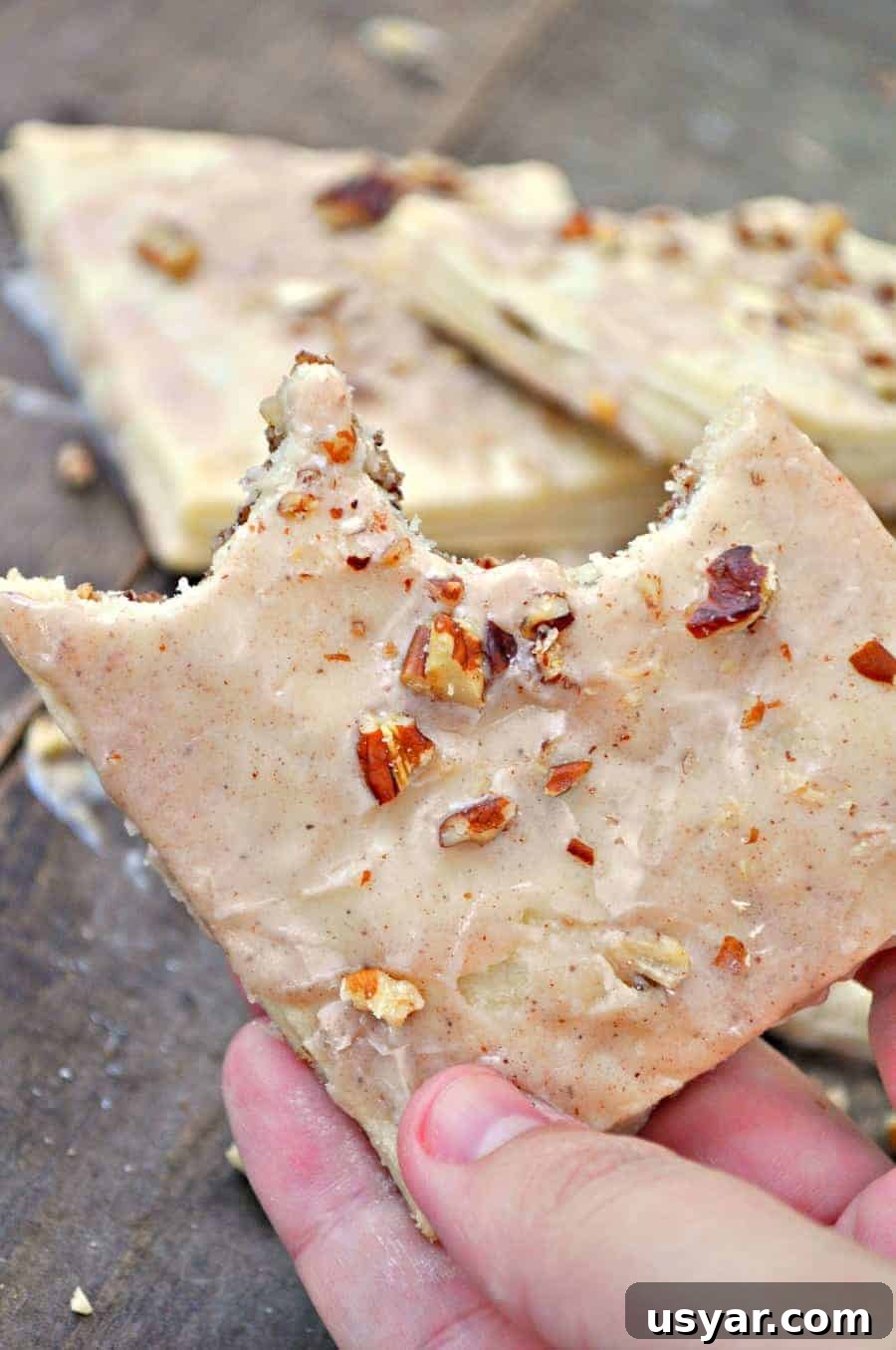 Homemade Vegan Pecan Pie Pop-Tarts Recipe 6 img 3054 6