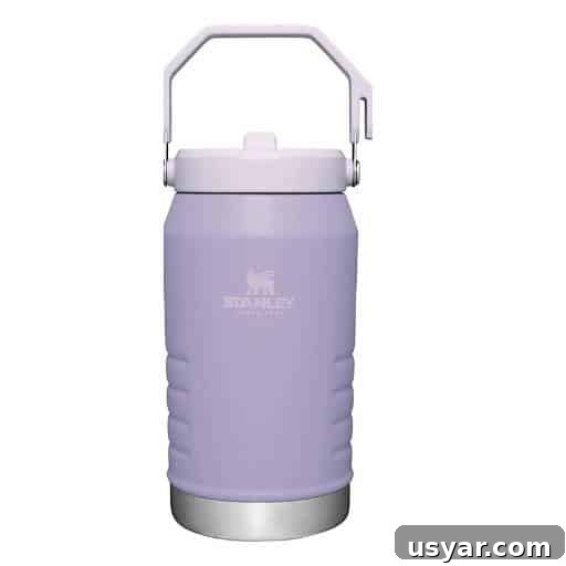 Creative Easter Basket Ideas for Teens: Trendy and Practical 9 lavender water bottle jug with carrying handle