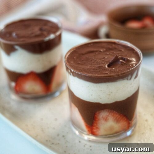 Two-Ingredient Chocolate Mousse Recipe 4 img 3151 3
