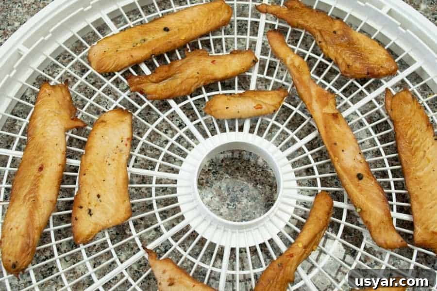 Citrus Bourbon Turkey Jerky Recipe 10 Bourbon jerky on dehydrator tray