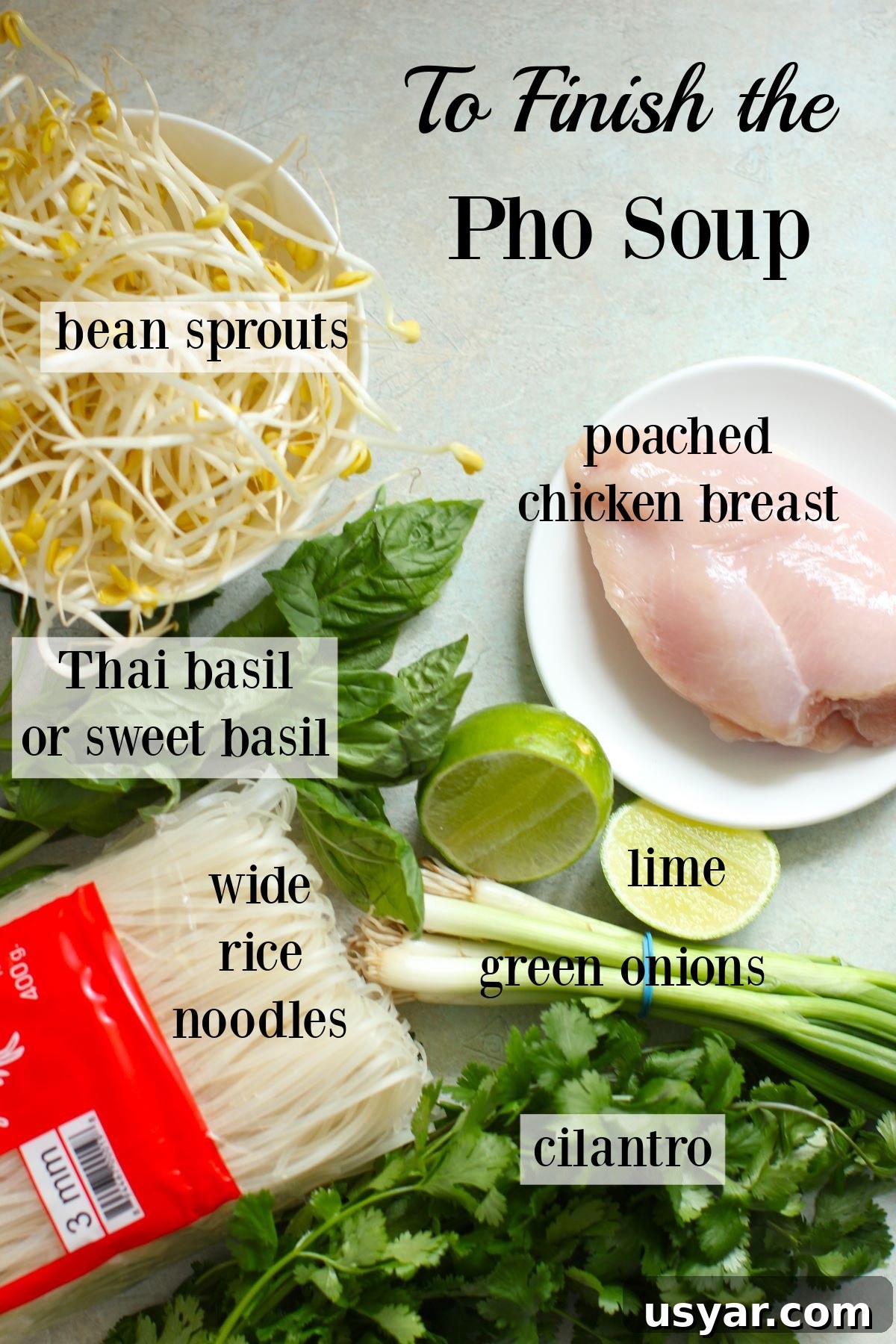 Shortcut Chicken Pho Recipe for Vietnamese Pho Ga 14 the basic ingredients needed to make up a bowl of pho soup.