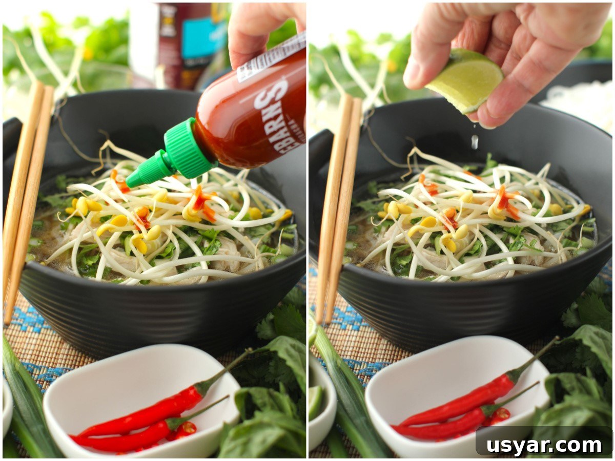 Shortcut Chicken Pho Recipe for Vietnamese Pho Ga 17 adding hoisin sauce and chili sauce.
