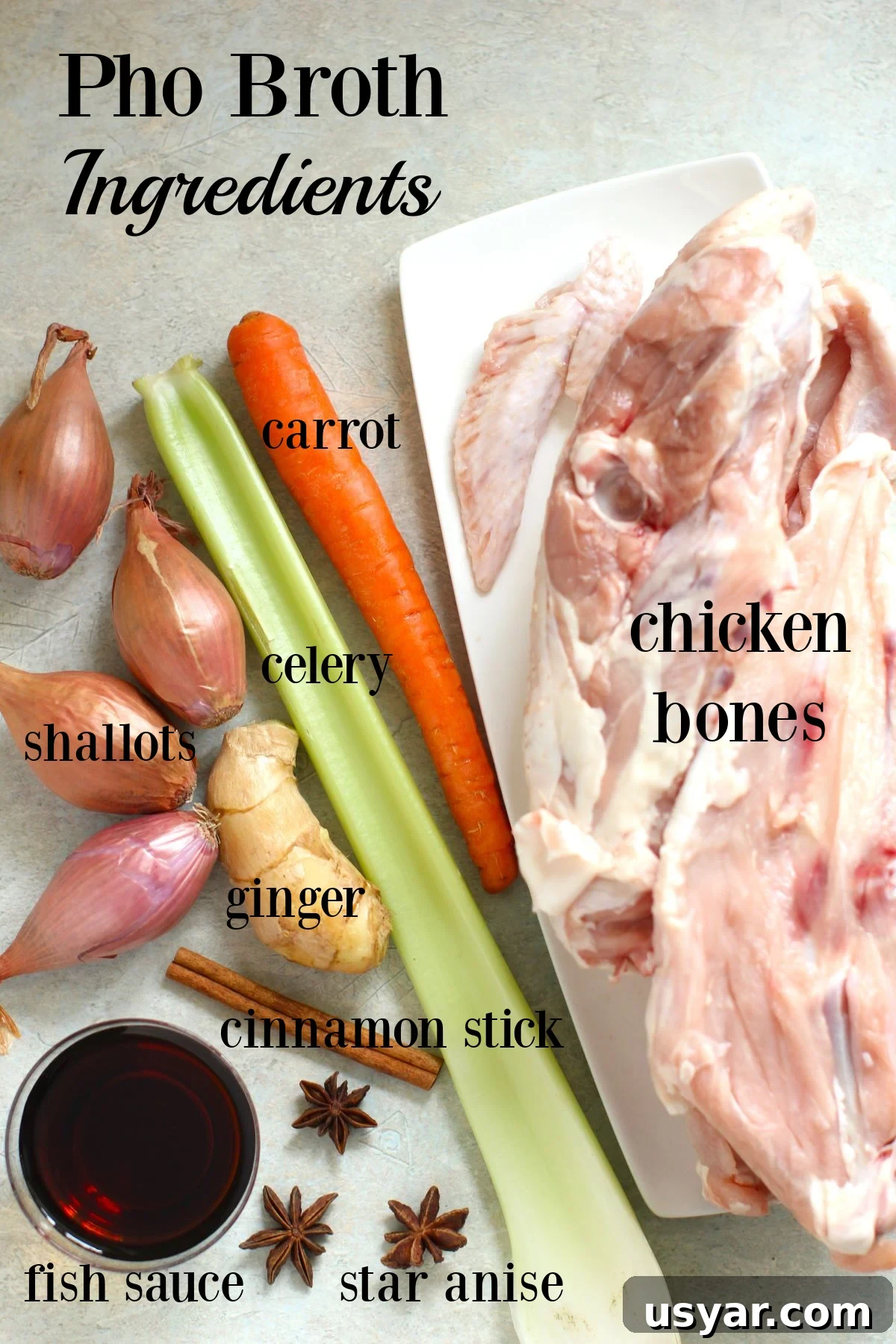 Shortcut Chicken Pho Recipe for Vietnamese Pho Ga 10 the ingredients needed for a quick chicken pho broth.