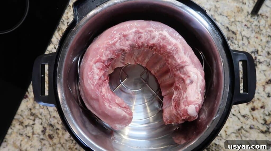 Baby back ribs coiled in instant pot