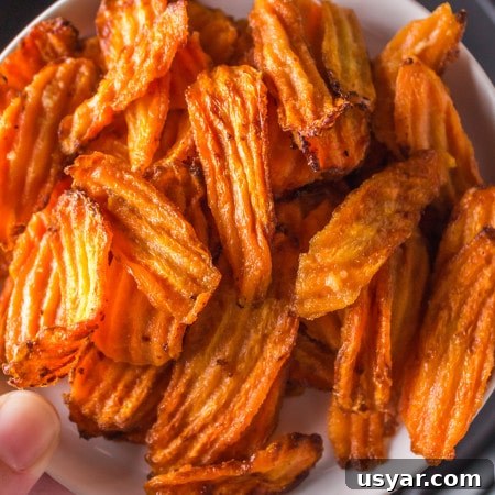 Air Fryer Carrot Chips