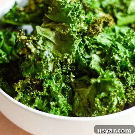Air Fryer Kale Chips