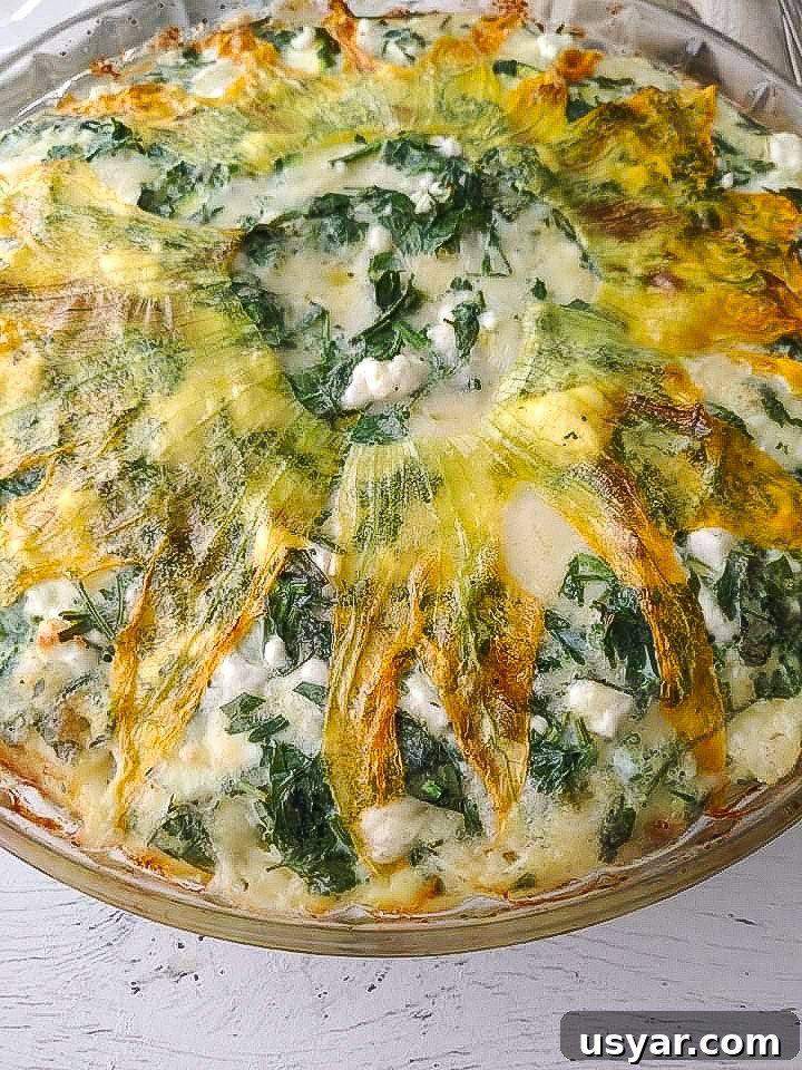 An easy baked zucchini and potato frittata loaded with fresh herbs and cheese