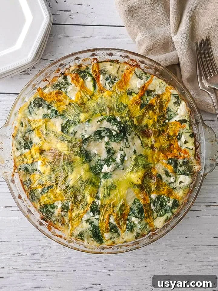 An easy baked zucchini and potato frittata loaded with fresh herbs and cheese