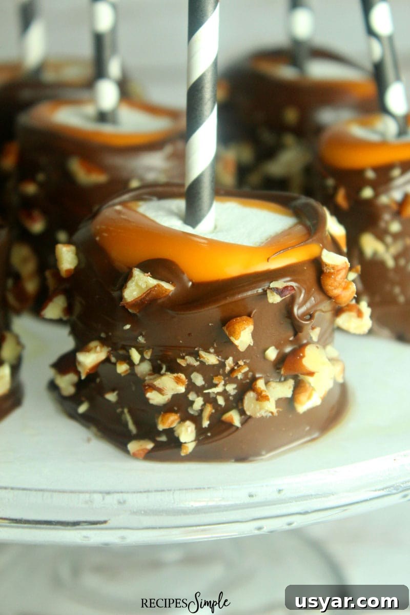 Turtle Dipped Marshmallows #dessert