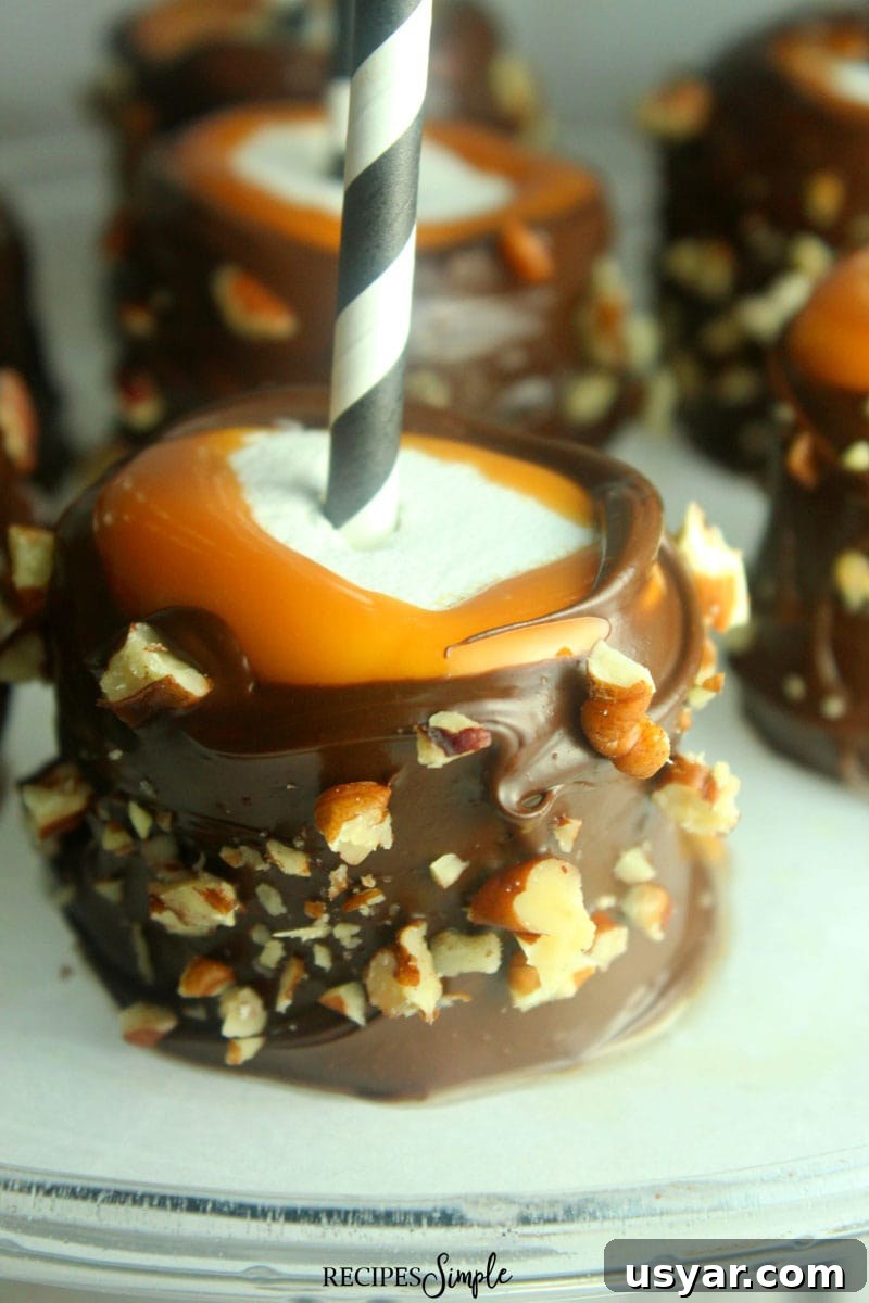 Turtle Dipped Marshmallow Pops