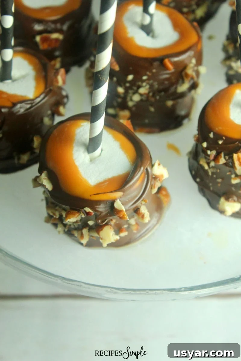 Turtle Dipped Marshmallow Dessert