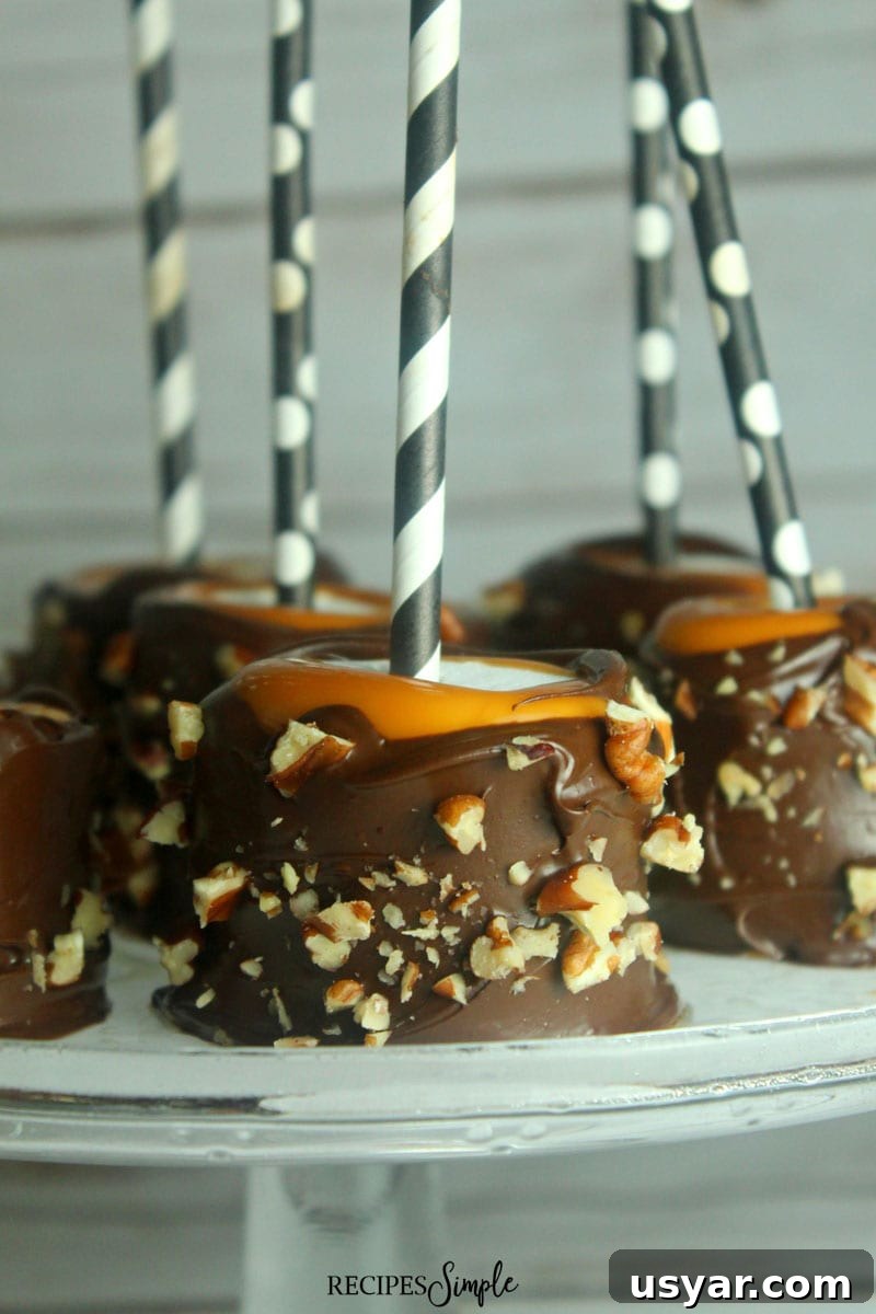 Marshmallow Turtle Dipped Pops