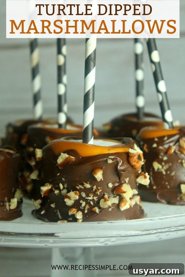 Turtle Dipped Marshmallow Pops 