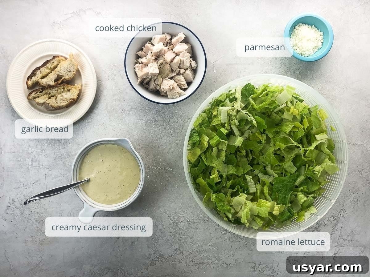 Creamy Caesar Dressing and Chicken Caesar Salad Recipe 4 salad ingredients