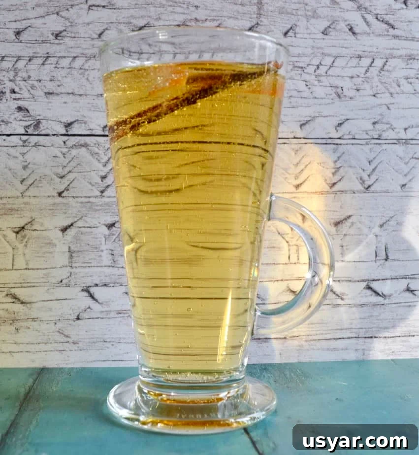 10 Gluten Free Dairy Free Apple Recipes to Try 10 mulled apple