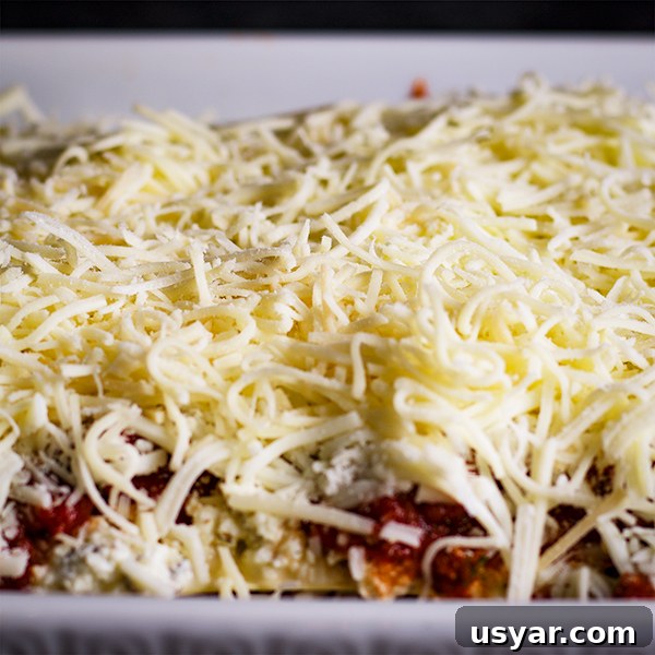 Cheesy Sausage Lasagna Recipe with Homemade Marinara 5 Topping a pan of homemade lasagna with a lot of cheese.