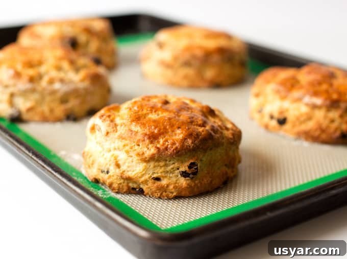 Fluffy Buttermilk Raisin Scones Recipe 3 Light and fluffy buttermilk scones with raisins - so good served with clotted cream and jam!