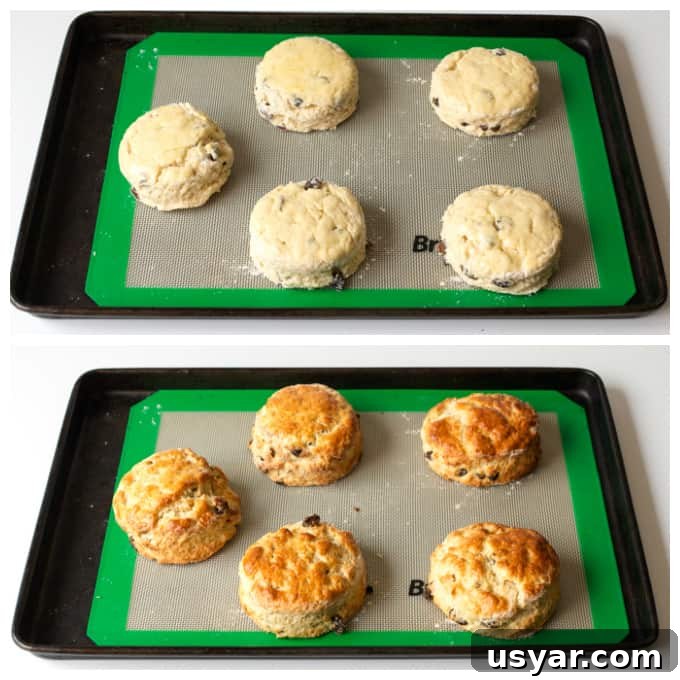 Fluffy Buttermilk Raisin Scones Recipe 4 Light and fluffy buttermilk scones with raisins - so good served with clotted cream and jam!