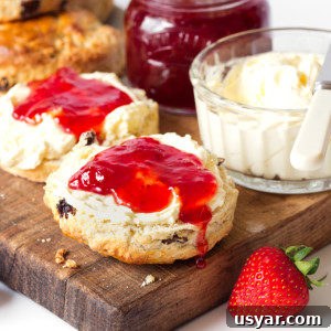 Fluffy Buttermilk Raisin Scones Recipe 6 Fluffy Buttermilk Raisin Scones
