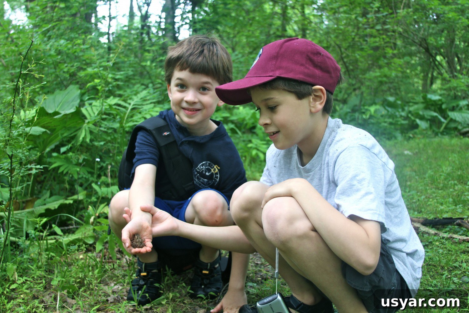 We found a toad!