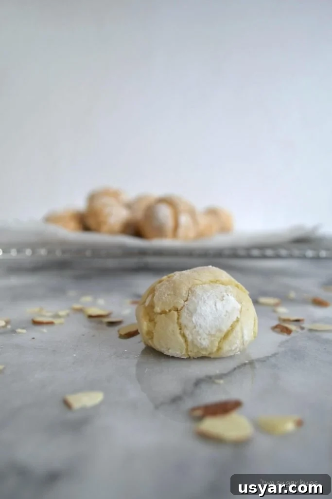 3-Ingredient Treats: Quick No-Fuss Recipes 3 up close photo of an amaretti cookie