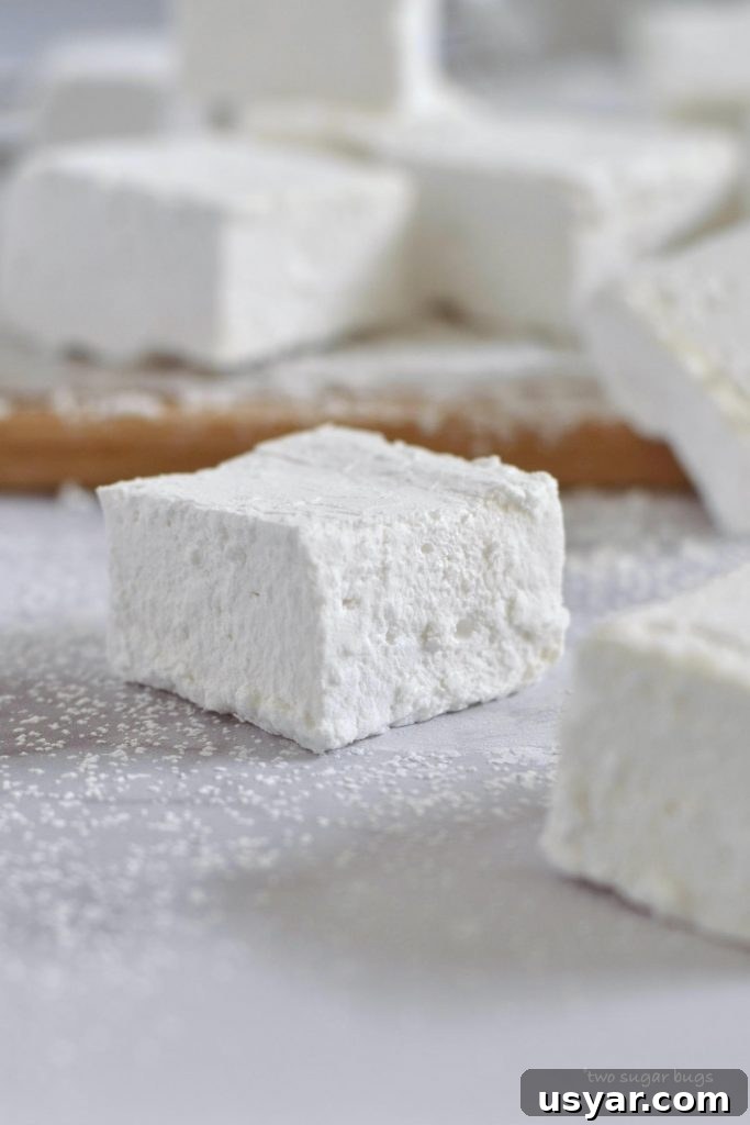 3-Ingredient Treats: Quick No-Fuss Recipes 8 close up of homemade marshmallow made with minimal ingredients