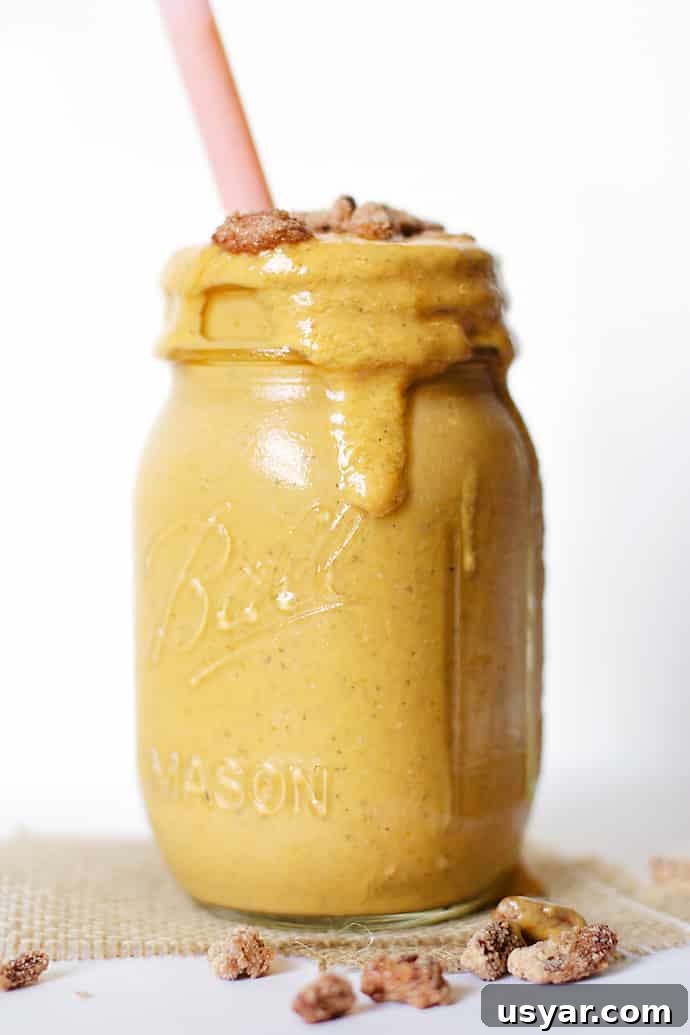 Creamy Pumpkin Chia Seed Smoothie Recipe with Cinnamon 2 Pumpkin Chia Smoothie