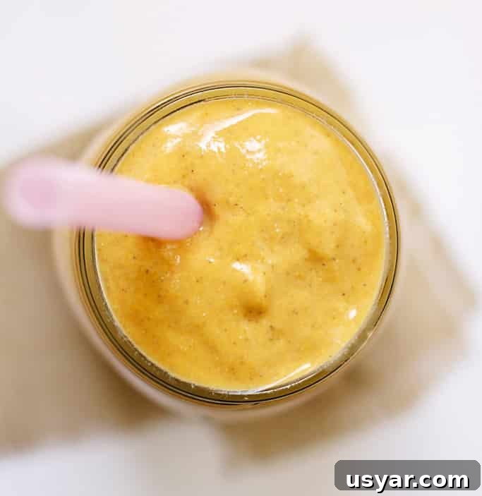 Creamy Pumpkin Chia Seed Smoothie Recipe with Cinnamon 3 Pumpkin Chia Smoothie glass