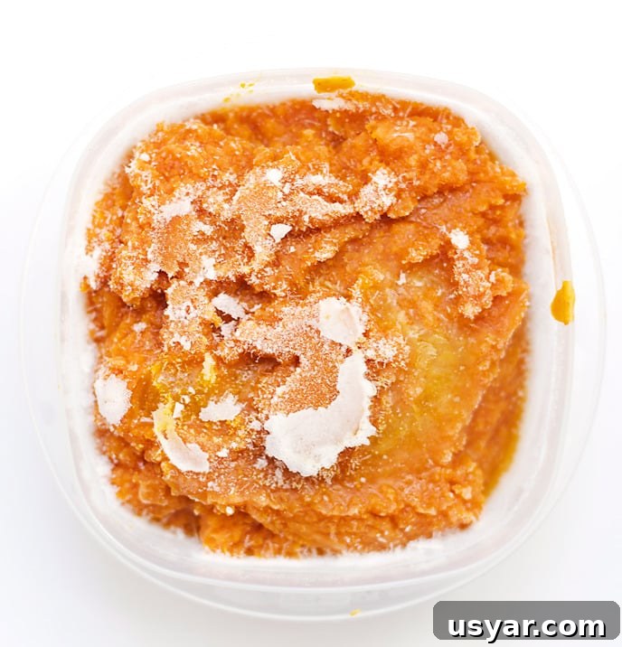 Creamy Pumpkin Chia Seed Smoothie Recipe with Cinnamon 4 Blending pumpkin smoothie