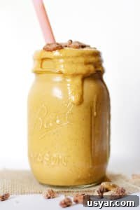 Creamy Pumpkin Chia Seed Smoothie Recipe with Cinnamon 6 Pumpkin chia smoothie thumbnail